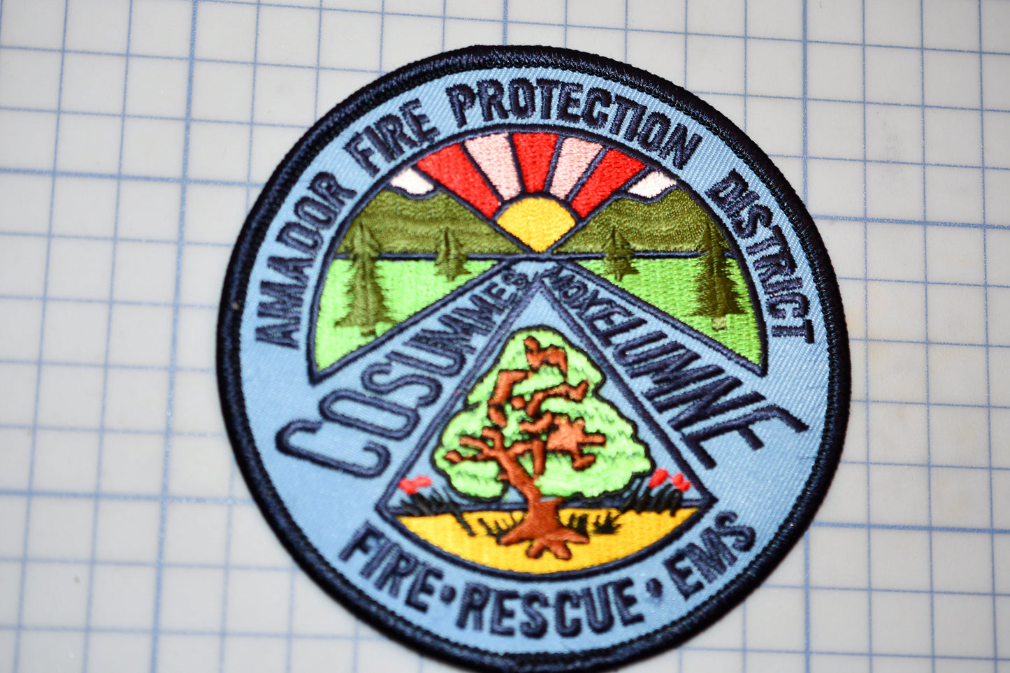 a patch with a picture of a tree on it