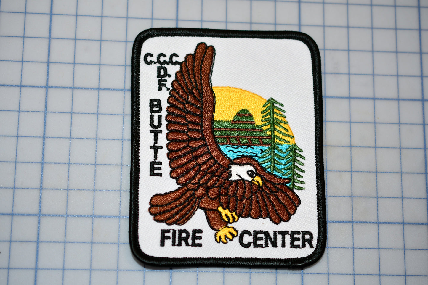 a patch with a picture of an eagle on it