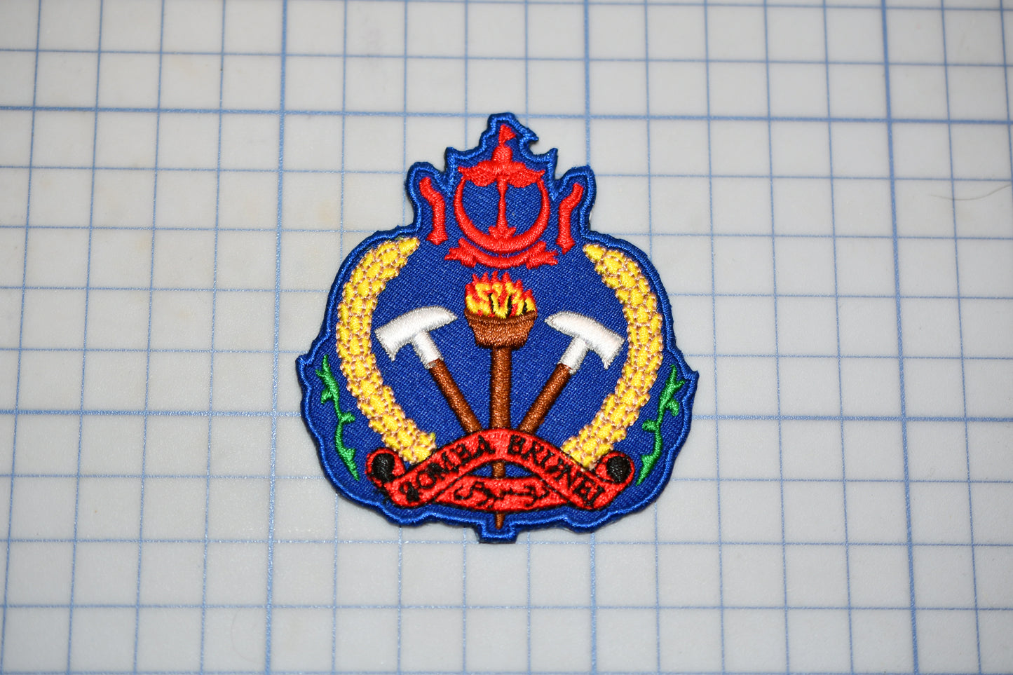 a blue and red badge with a shield design, surrounded by a grid pattern.