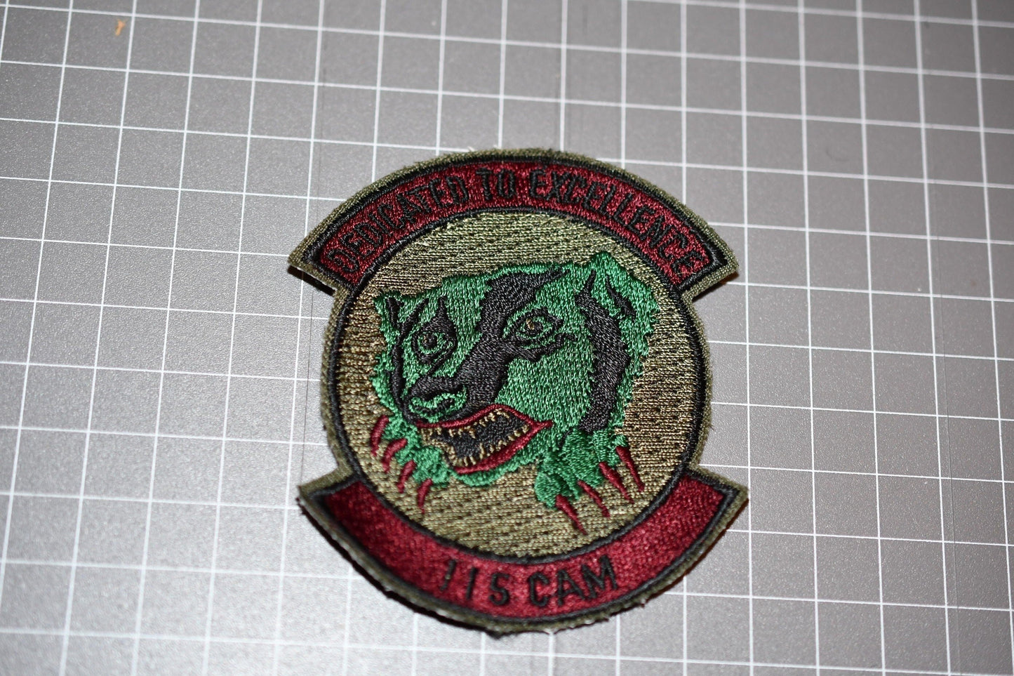 USAF 115 CAM Squadron Patch (B21-148)
