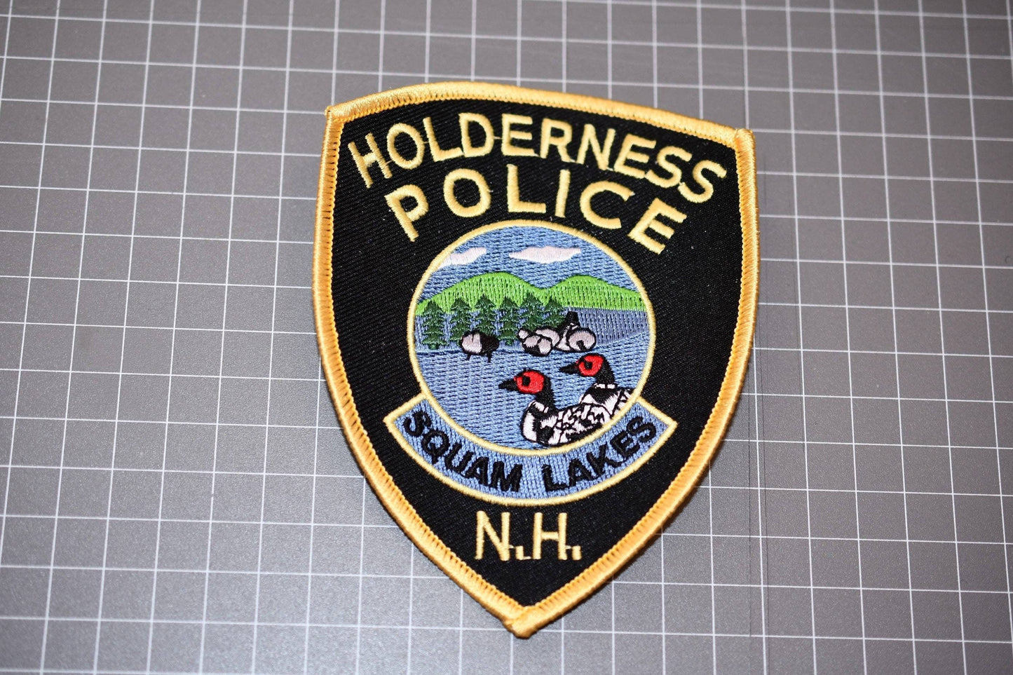 Holderness New Hampshire Police Patch (B20)
