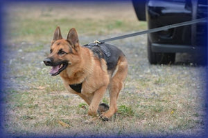 Police & Sheriff K9 Patches
