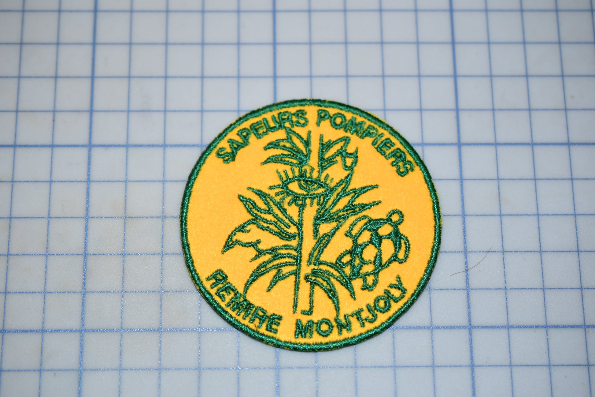 a circular patch with a yellow and green design, including a plant and a turtle, placed on a grid background.