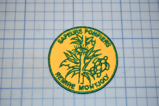 a circular patch with a yellow and green design, including a plant and a turtle, placed on a grid background.