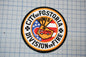 a circular patch with a design that includes a fire truck, stars, and the text "City of Fostoria Division of Fire".