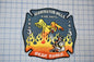 a fire department patch with a firefighter and a dragon, representing the Farmington Hills Fire Department.