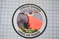 a patch with a picture of a plane on it