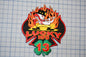 a patch with a fireman and flames, along with the text "Lucky HFD 13".