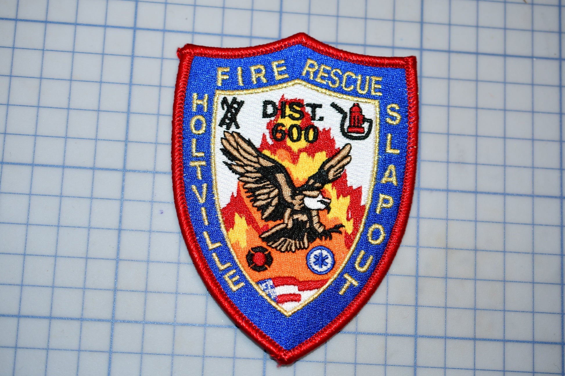 A fire rescue district 600 patch with an eagle and flames, representing the Holliville Fire Rescue District 600.