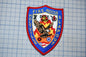 A fire rescue district 600 patch with an eagle and flames, representing the Holliville Fire Rescue District 600.