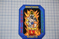 a patch with a picture of a firefighter holding a dog