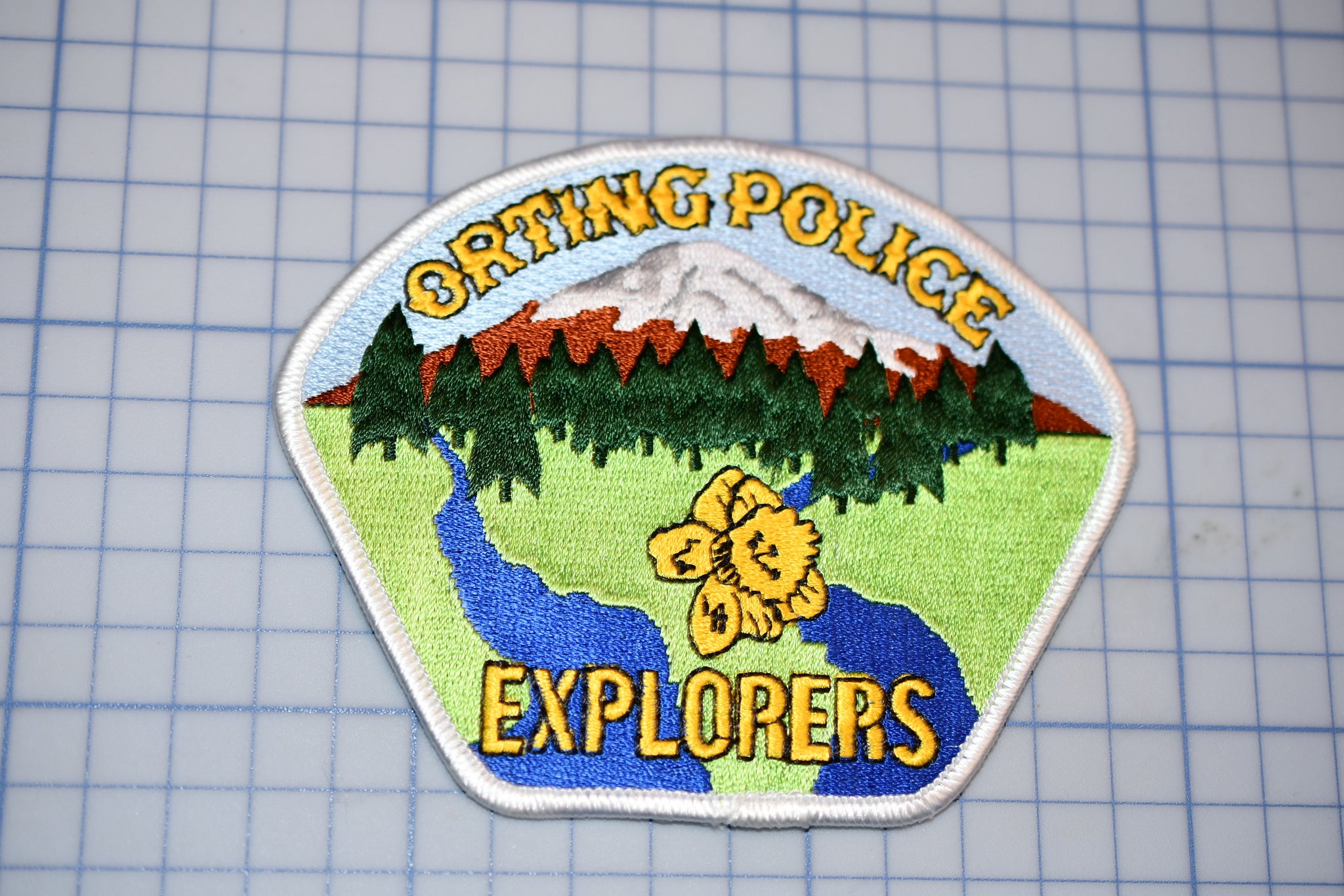Orting Washington Police Explorers Patch (S5-2)