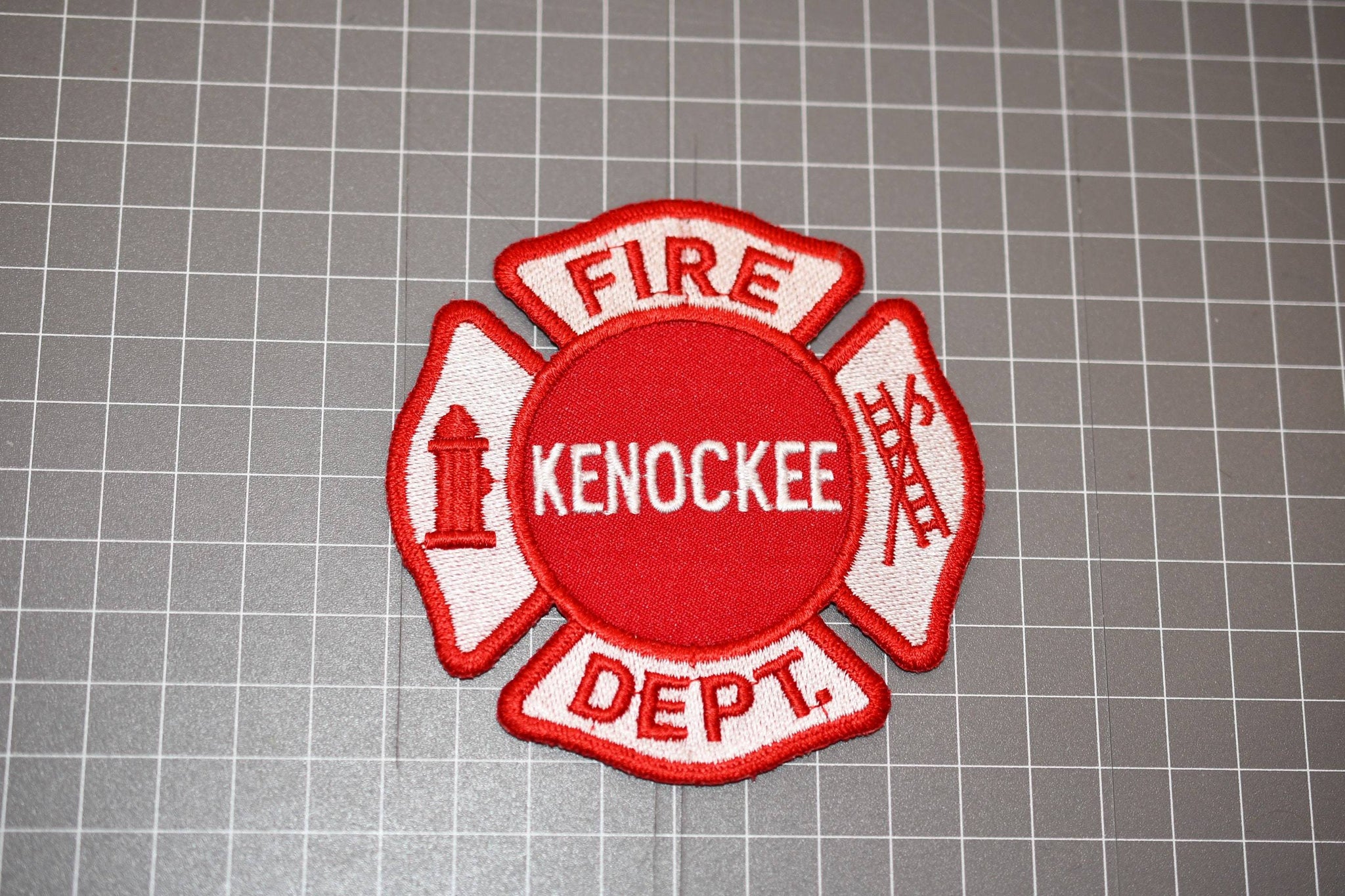 Reed City Michigan Fire Department Patch (U.S. Fire Patches)