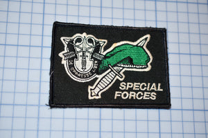 United States Army Special Forces Patch (S3-272)